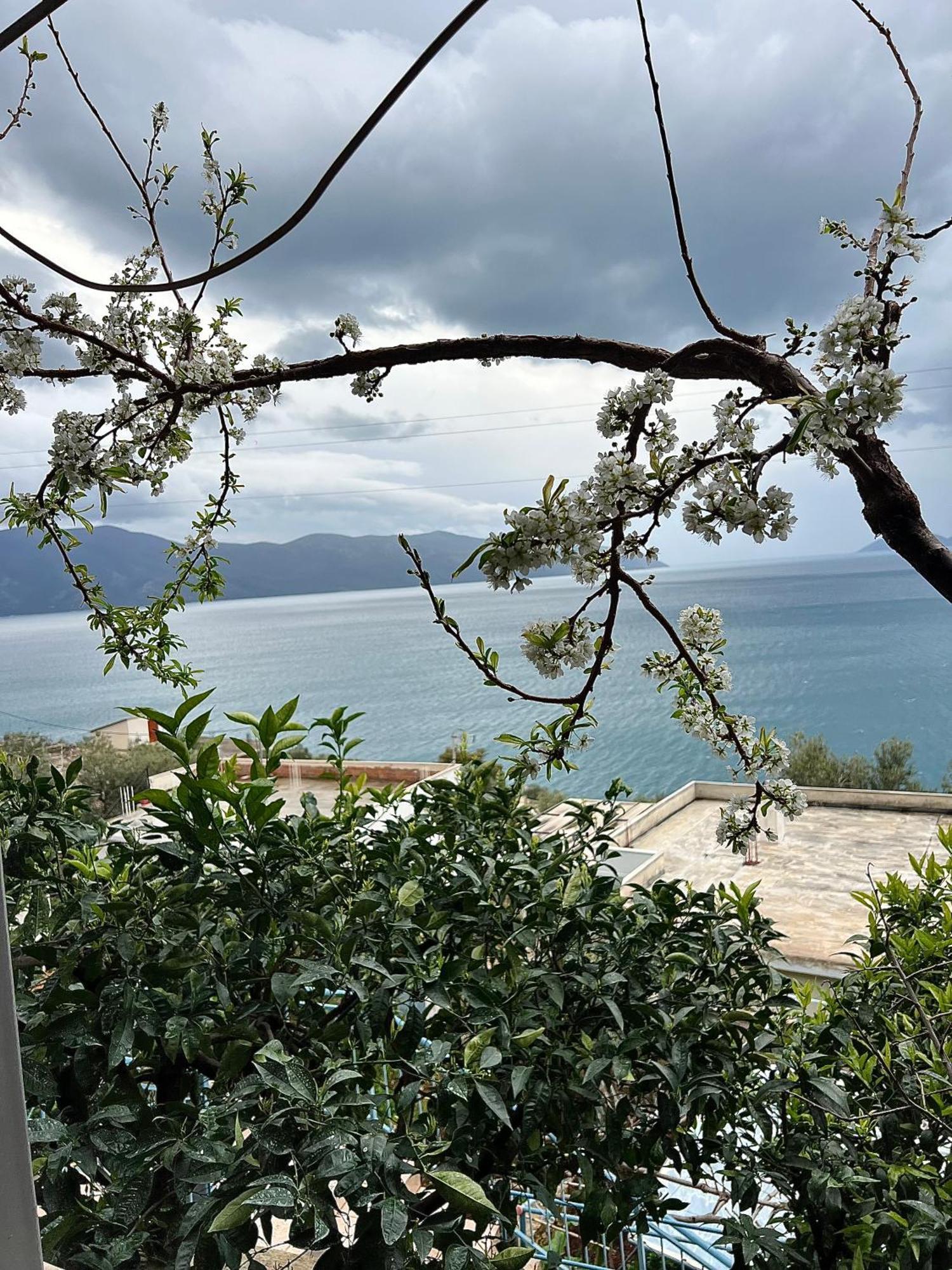 VlorëMarisi House公寓 外观 照片